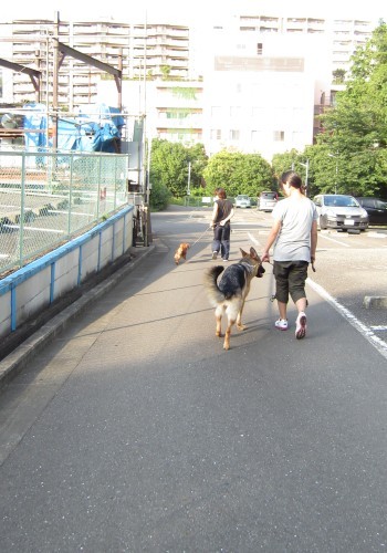 横浜山口ドッグスクール日記　～life with dog～