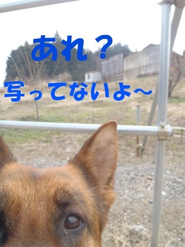 お散歩に行こう！！