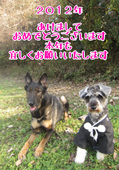 2012年