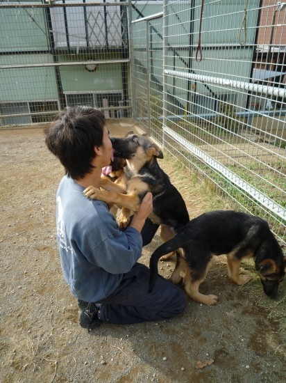横浜山口ドッグスクール日記　～life with dog～