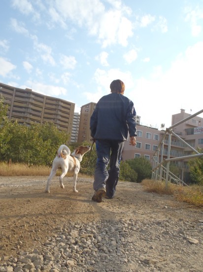 横浜山口ドッグスクール日記　～life with dog～