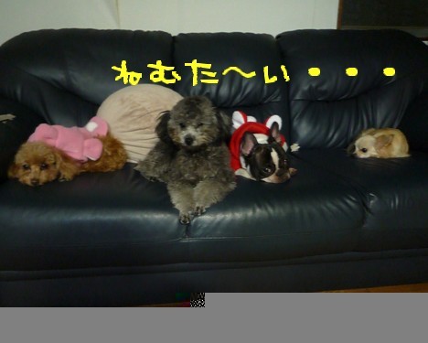 のほほん