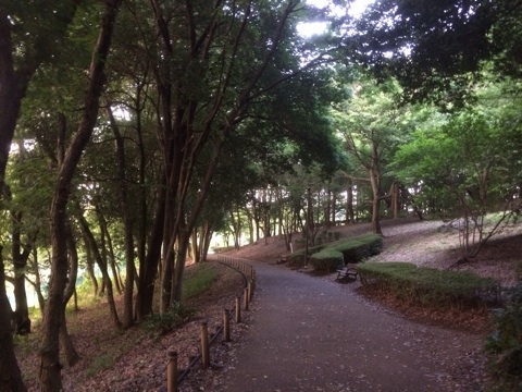 近くの公園