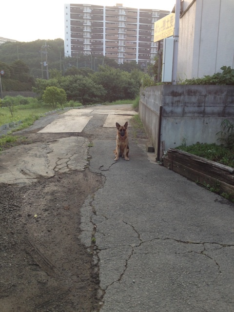 後ろに回ると…