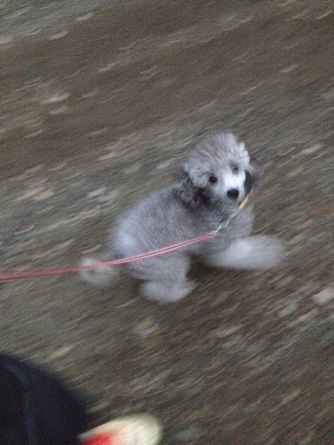 まじめにしっかり