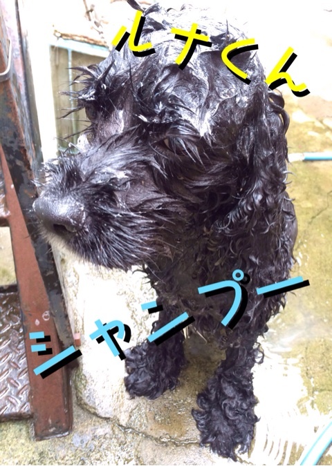 今日は…