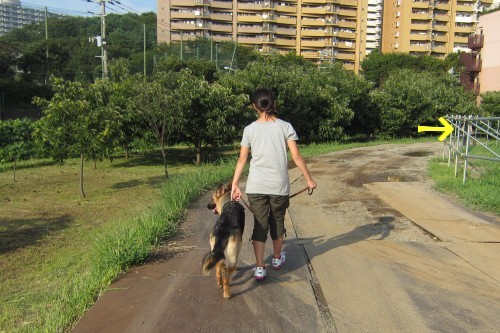 横浜山口ドッグスクール日記　～life with dog～