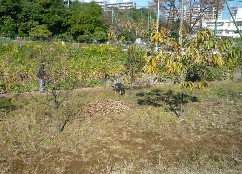 横浜山口ドッグスクール日記　～life with dog～