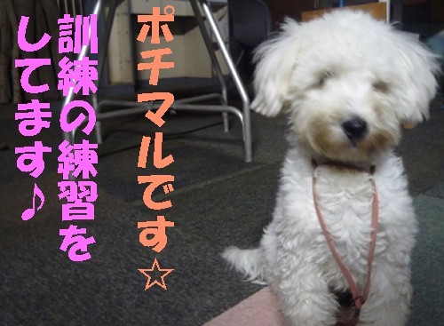 練習中に・・・・