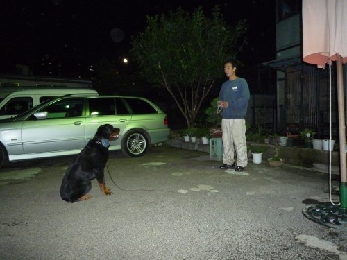 横浜山口ドッグスクール日記　～life with dog～