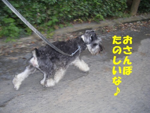 横浜山口ドッグスクール日記　～life with dog～