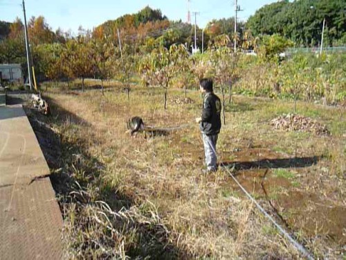 横浜山口ドッグスクール日記　～life with dog～