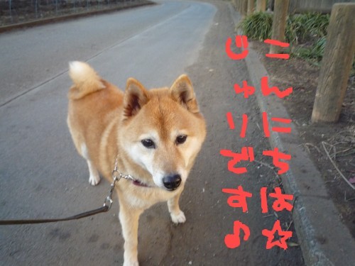 I LIKE SANPO!