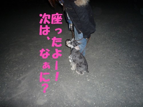 横浜山口ドッグスクール日記　～life with dog～