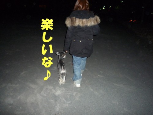 横浜山口ドッグスクール日記　～life with dog～