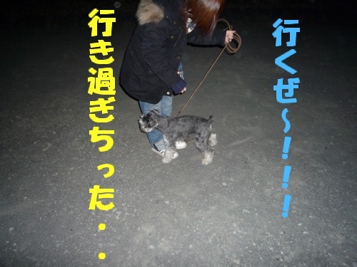 横浜山口ドッグスクール日記　～life with dog～