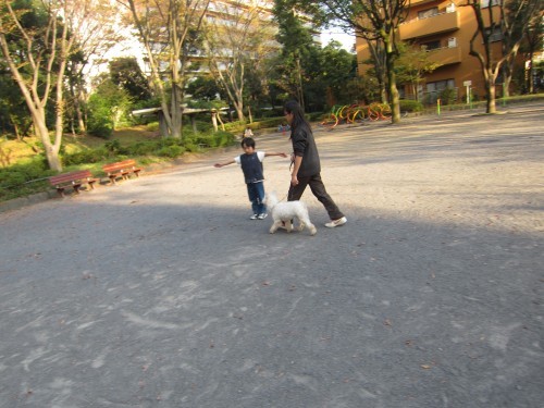 横浜山口ドッグスクール日記　～life with dog～