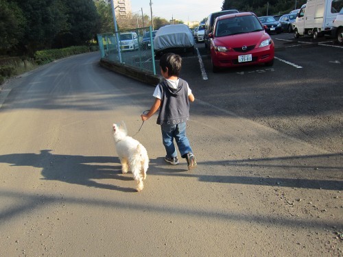 横浜山口ドッグスクール日記　～life with dog～