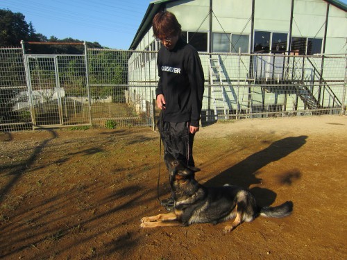 横浜山口ドッグスクール日記　～life with dog～