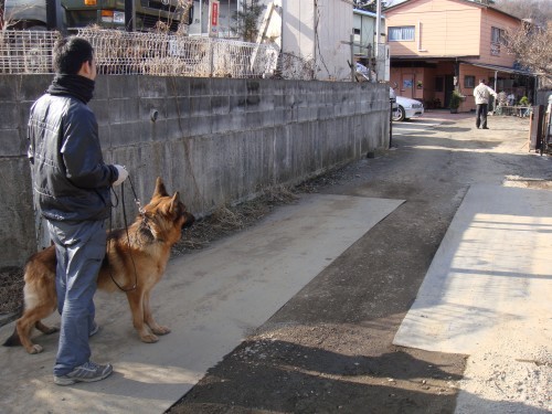 横浜山口ドッグスクール日記　～life with dog～