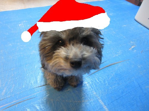 クリスマス!