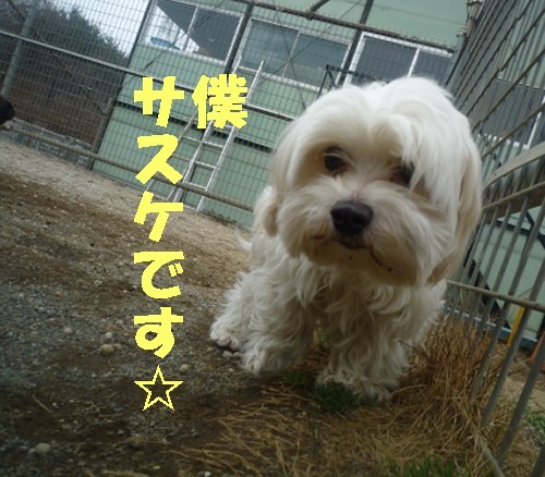 楽しいね