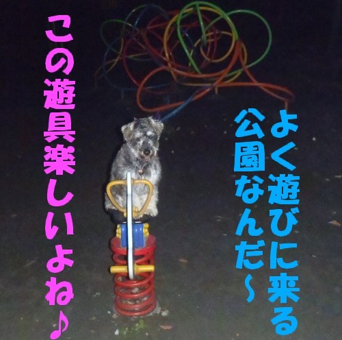 横浜山口ドッグスクール日記　～life with dog～