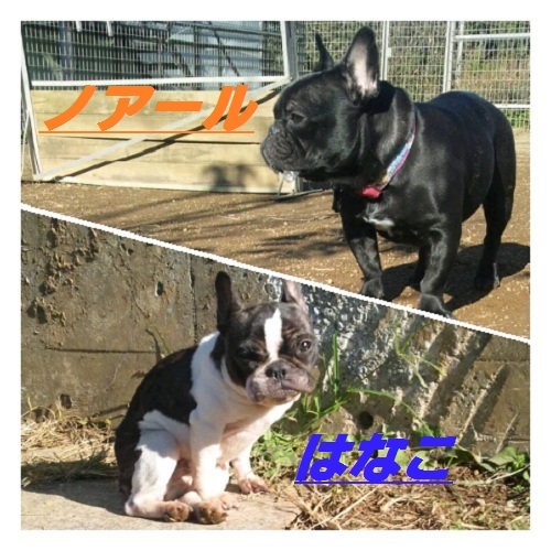 似た者同士♪