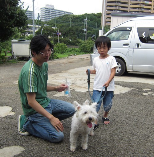 面会