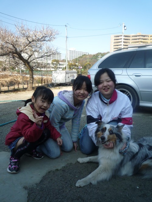 横浜山口ドッグスクール日記　～life with dog～