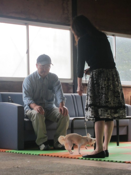 横浜山口ドッグスクール日記　～life with dog～