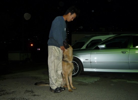 横浜山口ドッグスクール日記　～life with dog～