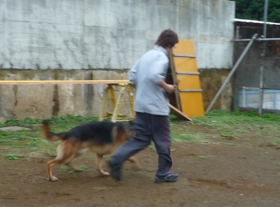 横浜山口ドッグスクール日記　～life with dog～