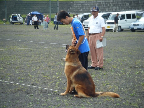 横浜山口ドッグスクール日記　～life with dog～