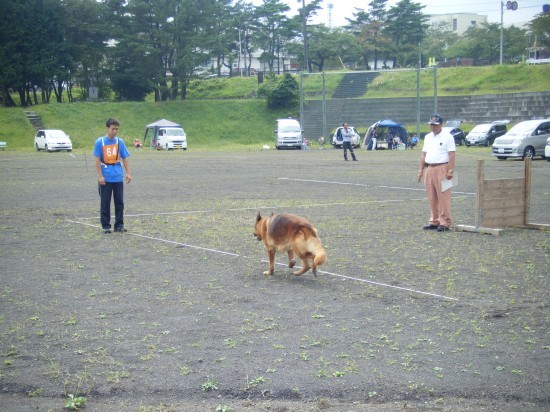 横浜山口ドッグスクール日記　～life with dog～