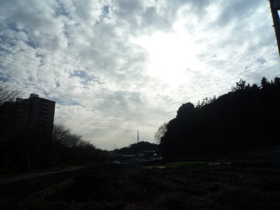 アルミンと。