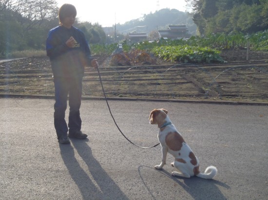 横浜山口ドッグスクール日記　～life with dog～