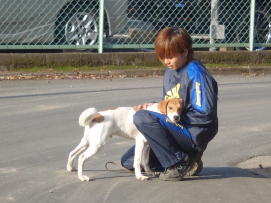 横浜山口ドッグスクール日記　～life with dog～