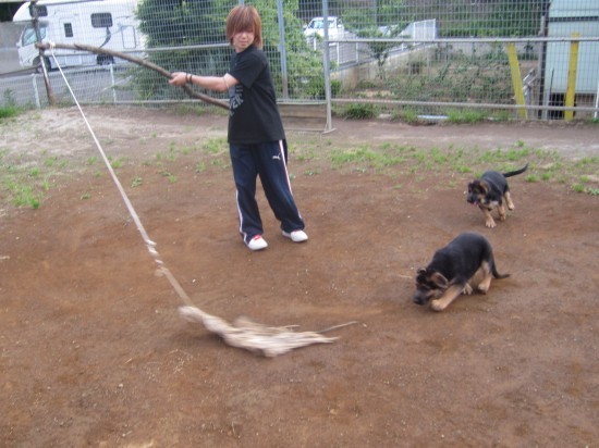 横浜山口ドッグスクール日記　～life with dog～