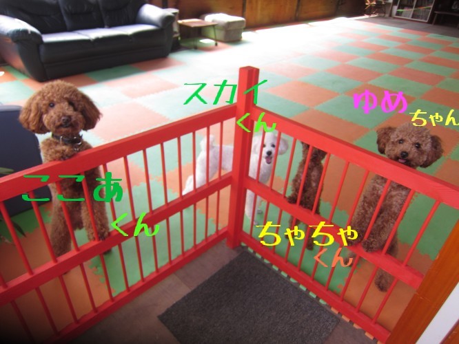 今日の幼稚園♪♪