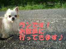 お散歩にGO→
