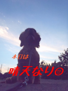 横浜山口ドッグスクール日記　～life with dog～