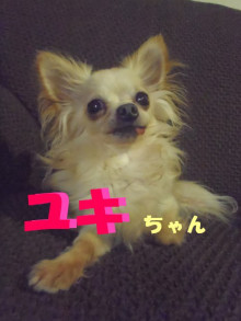 お出迎えアイドル（笑）