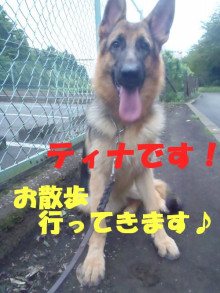 お散歩に行ってきます♪