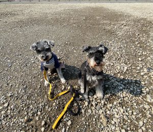 ムックと弟子のパン君